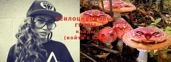 мяу мяу мука Алексин