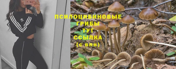 spice Покровск